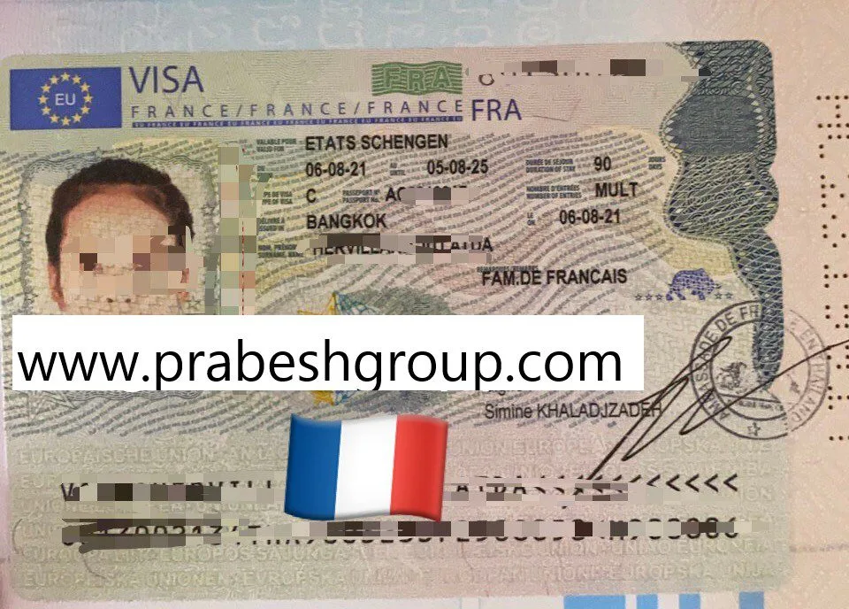 Home 317 France 4 Years multipal Visa