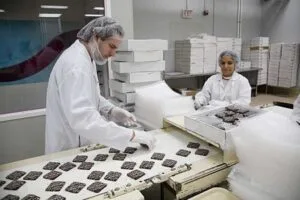 Chocolate Factory Workers