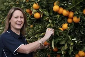 Collect Citrus Fruits