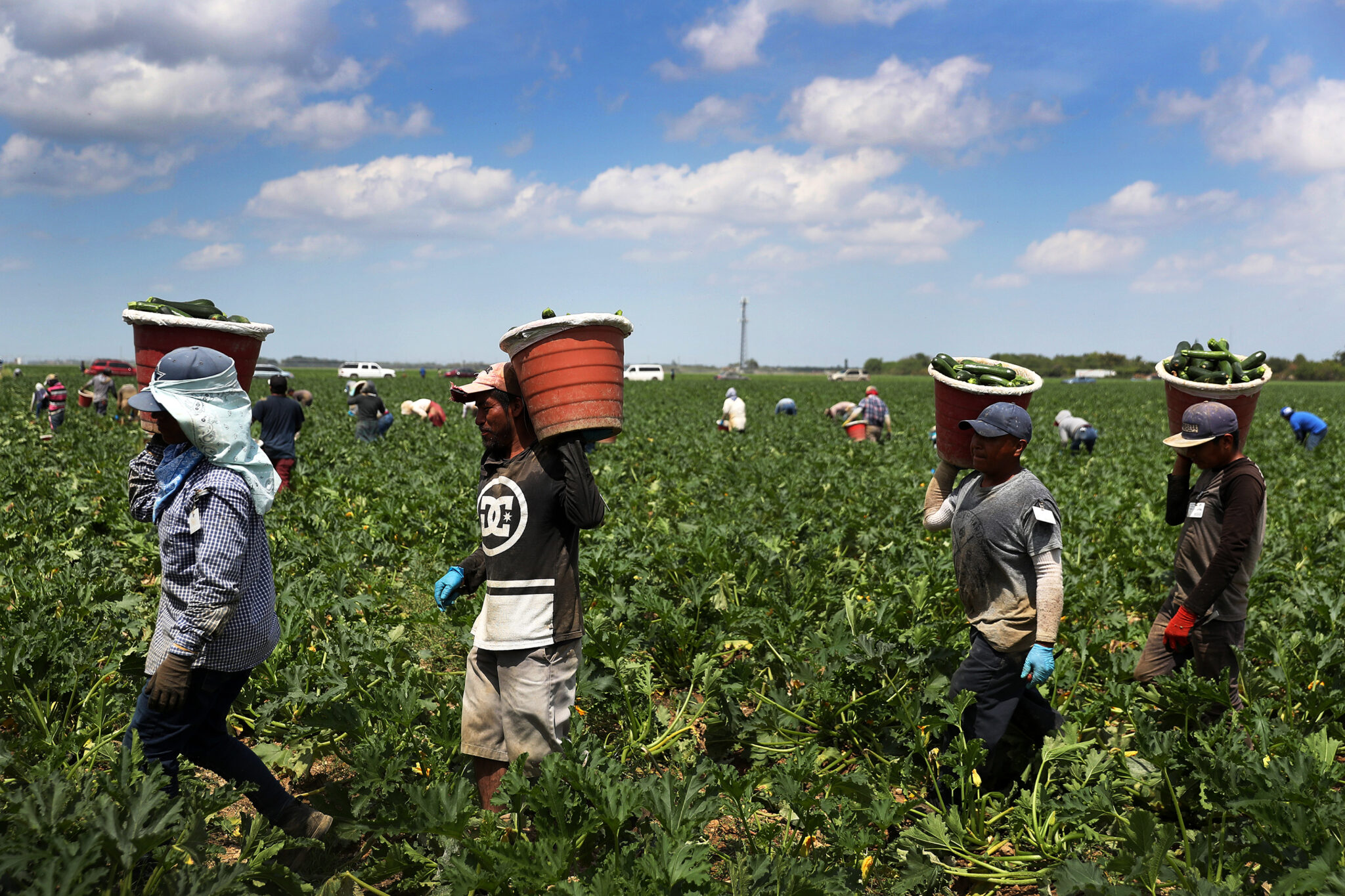 Field Workers Prabesh Group