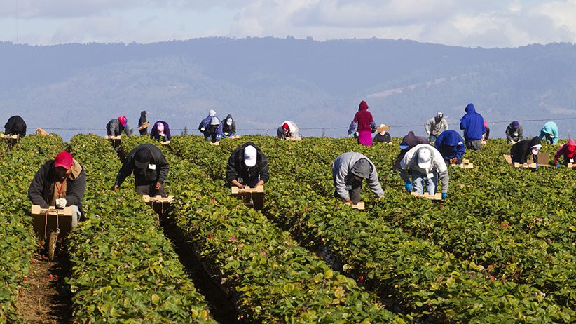 farm-worker-general-prabesh-group