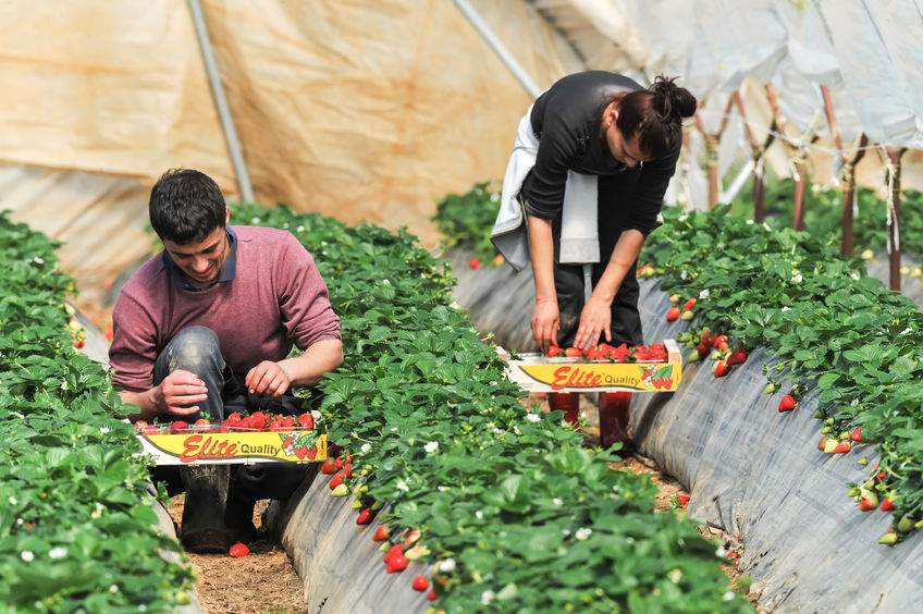 Other Term For Farm Worker