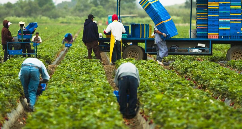 general-farm-worker-prabesh-group