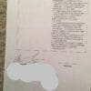 Latvia Work Permit - Image 2