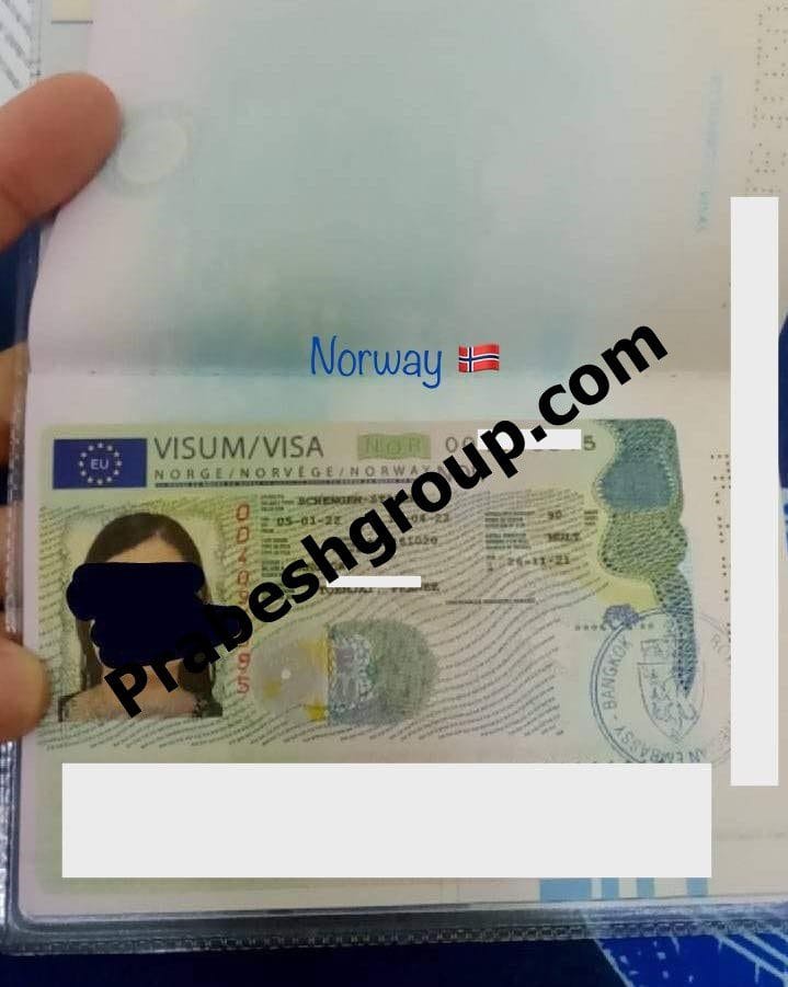 Norway Visit Visa 324