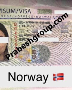 Norway Visit Visa 423