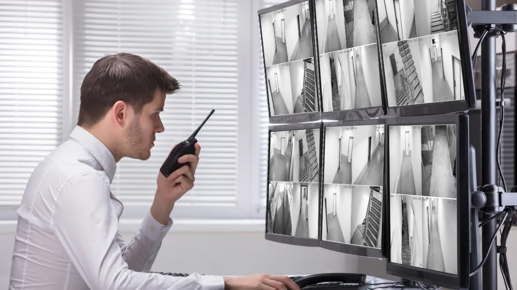 Maritime Unarmed Security Guard in France