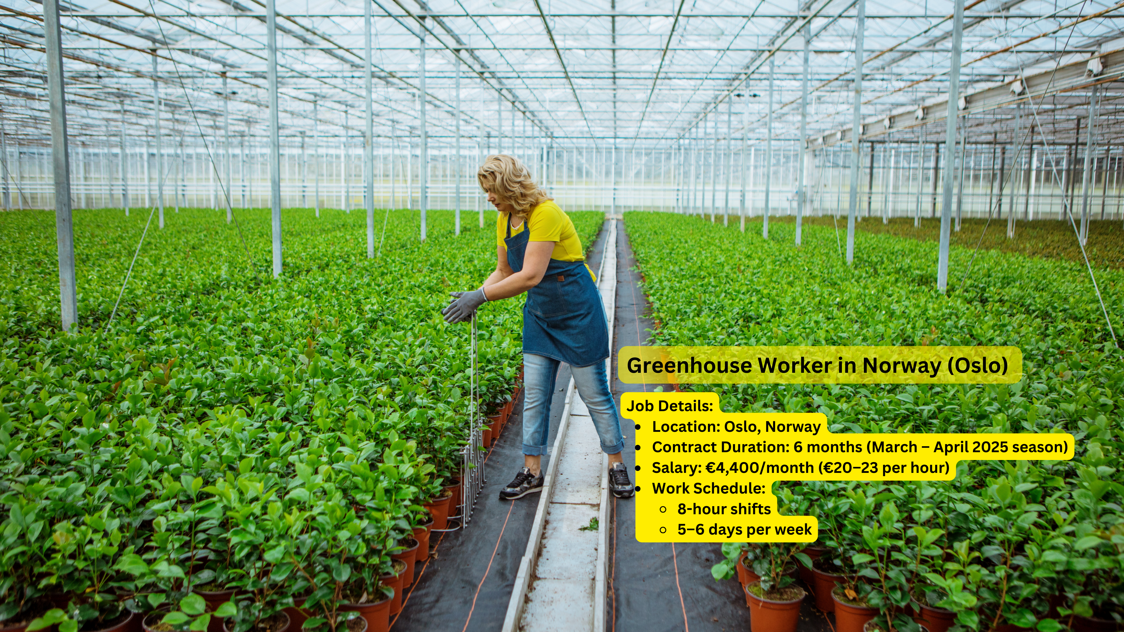 Greenhouse Worker job in Norway (Oslo)