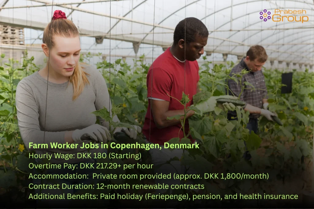 Farm Worker Jobs in Copenhagen Denmark