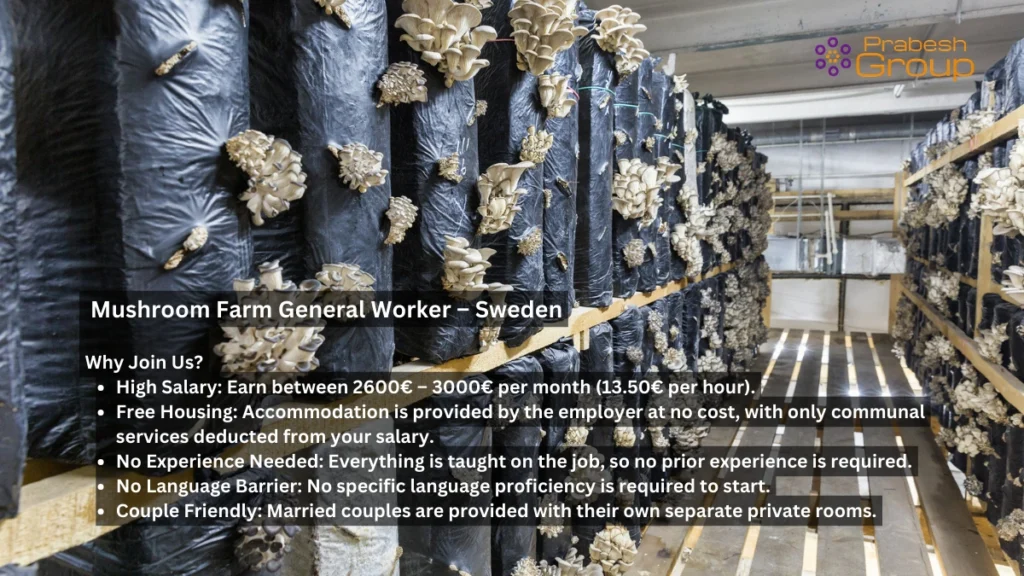 Mushroom Farm General Worker – Sweden