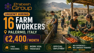 Farm work jobs in Italy no experience — 16 farm worker positions in Palermo paying €2,400month with work visa, free housing and official employment, posted by Prabesh Group