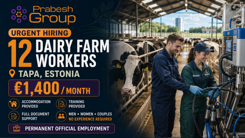 Farm worker jobs in Estonia no experience — 12 dairy farm positions in Tapa paying €1,400month with accommodation and document support, posted by Prabesh Group