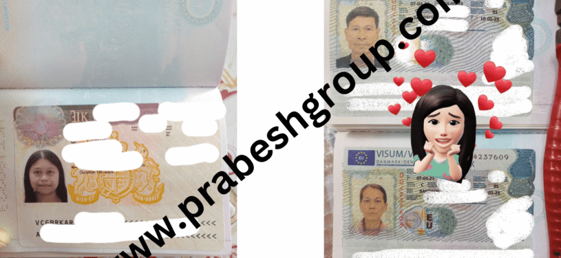 Denmark Visa