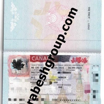 Canada Work Visa 219