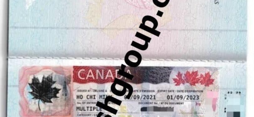 Canada Work Visa 219