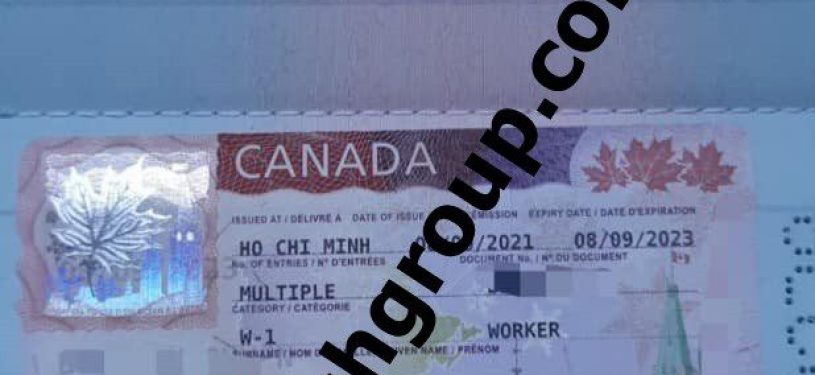 Canada Work Visa 221