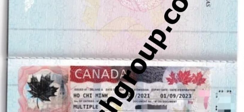 Canada Work Visa 240