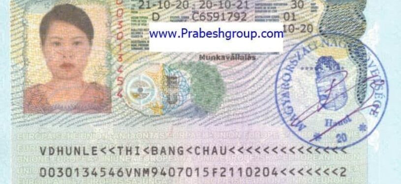 Hungary work visa19