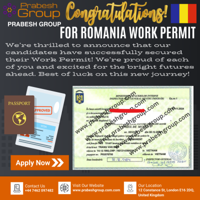 Romania Work Permit 19